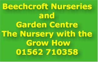 Beechcrodt Nurseries - the Nursery with the Grow How