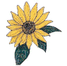 sunflower.jpg (15770 bytes)