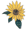 sunflowerl.gif (4919 bytes)